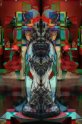 beaux-artsB