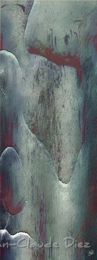 StPierre1.jpg - Au dos de l'écorce