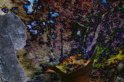 Venus_bleue