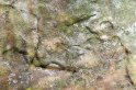 chasseur_hieroglyphe