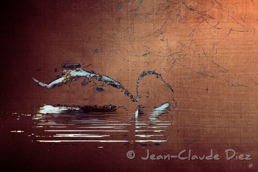 cygne_tissu_08.jpg - Le cygne
