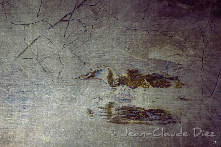 grebe_tissu_62b.jpg - Le grèbe