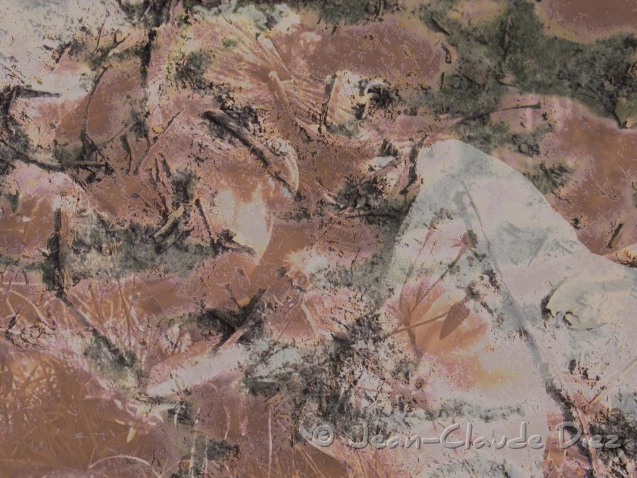 ombre01.jpg - Ombre