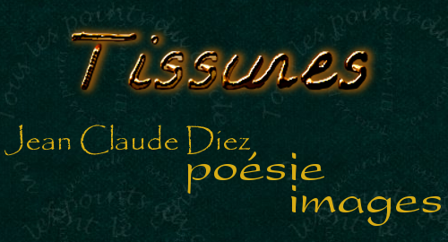 Tissures, Jean-Claude Diez, posie, estampes numriques