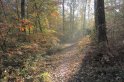 FBleau_0477
