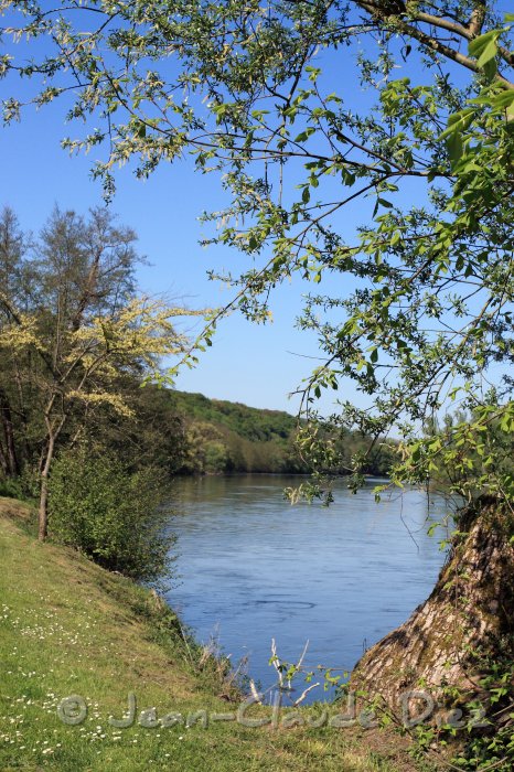 Apremont01.JPG - Les bords de l'Allier à Apremont-sur Allier