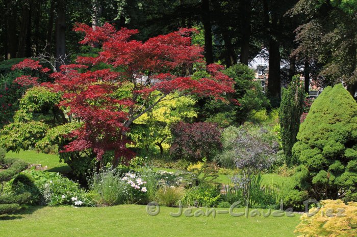 Courances13.JPG - Le jardin du château de Courances