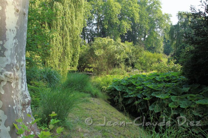 FontainebleauJA04.JPG - Au jardin anglais du château de Fontainebleau