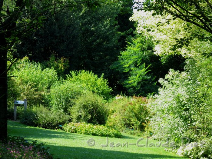 Valloires68.jpg - Le jardin de l'abbaye de Valloires