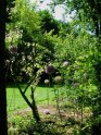 Valloires69