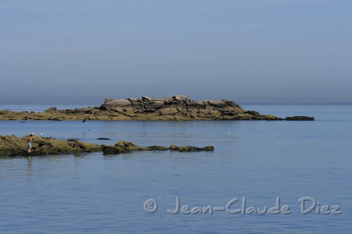 Chaize_Noirmoutier01.JPG - Noirmoutier, depuis le bois de la Chaise.