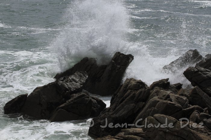 Yeu_T04.JPG - L'île d'Yeu, la côte sauvage.