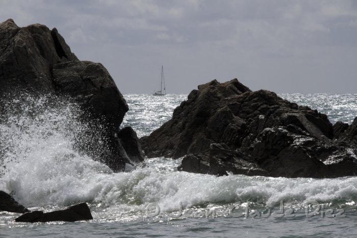 Yeu_V01.JPG - L'île d'Yeu, la côte sauvage.
