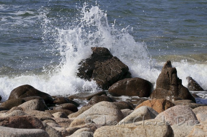 Yeu_V03.JPG - L'île d'Yeu, la côte sauvage.