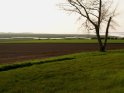 Cap_Hornu_terre01