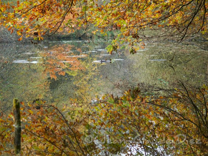lutin02.jpg - Le marais du Lutin à Veneux-les-Sablons