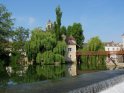 Moret15